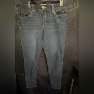 Democracy Dark Blue Skinny Jeans